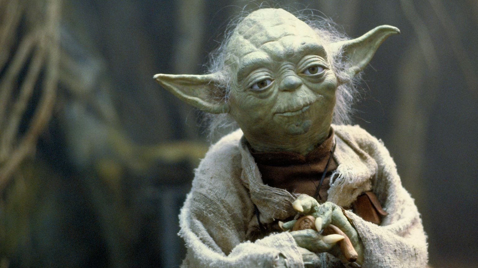 May The 4th Be With You: The Perfect Scent for Every Jedi & Sith 26 an image of the star wars character yoda