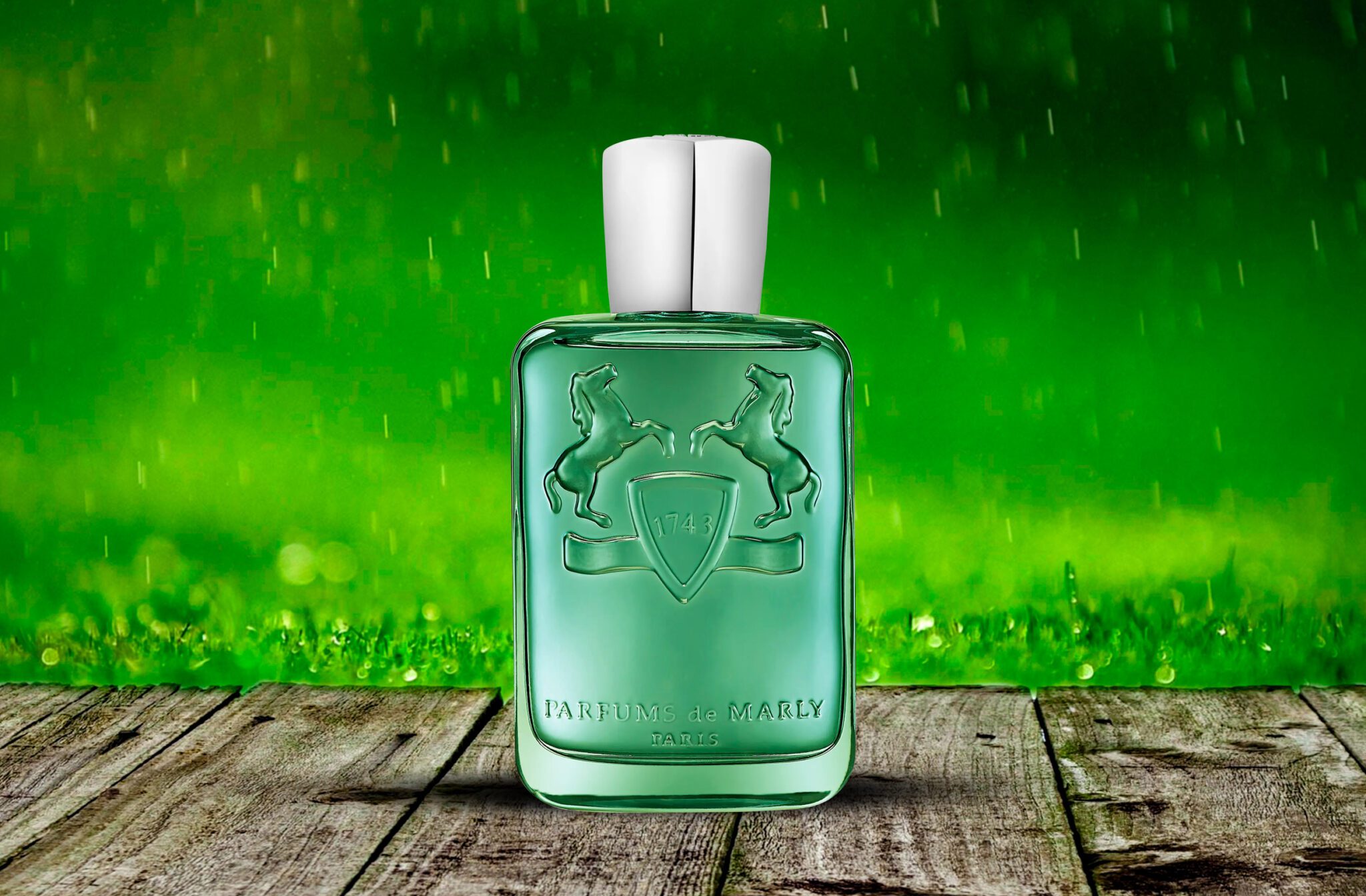 10 Best Perfumes For a Night Party (September 2024) vBlog