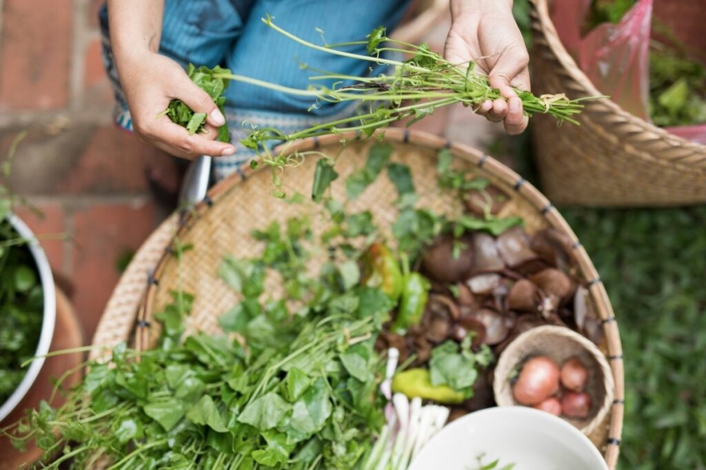 Foods That Make Your Body Odor Good 20 An image of a woman splitting leaves for cooking