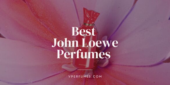 une illustration créative des meilleurs parfums John Loewe