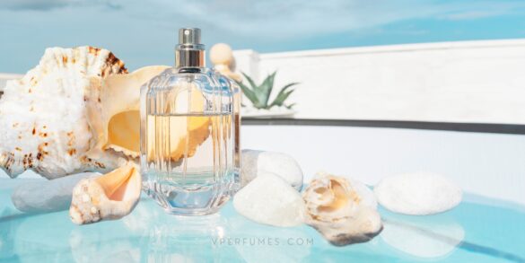 صورة لعطر موضوع على سطح يشبه الشاطئ مع الأصداف