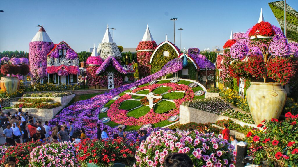 An image of Dubai miracle garden