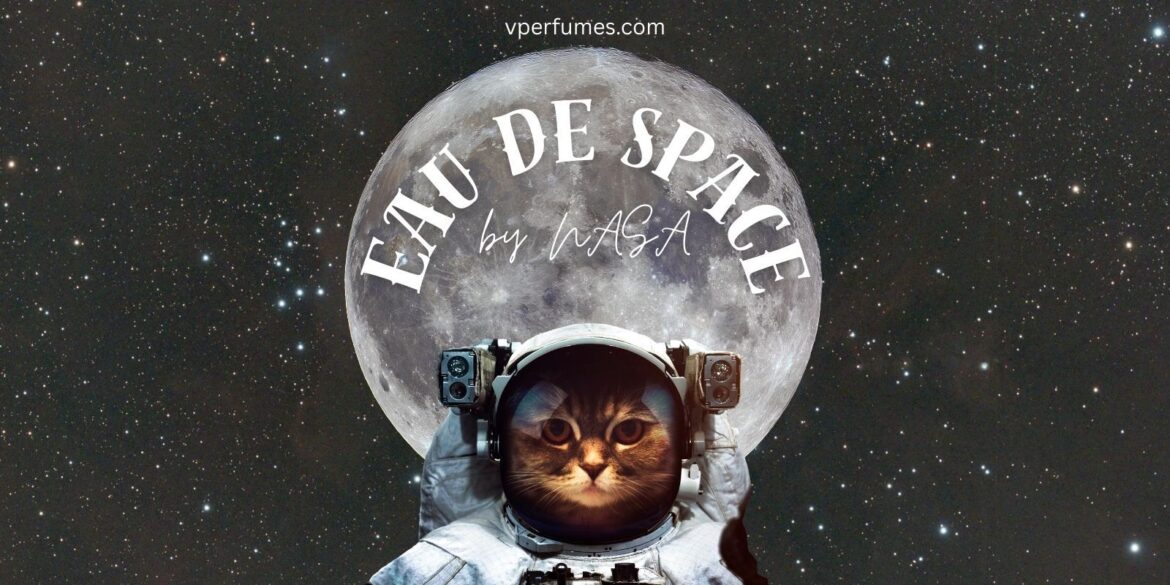 A creative illustration of a cat and moon showing outer space