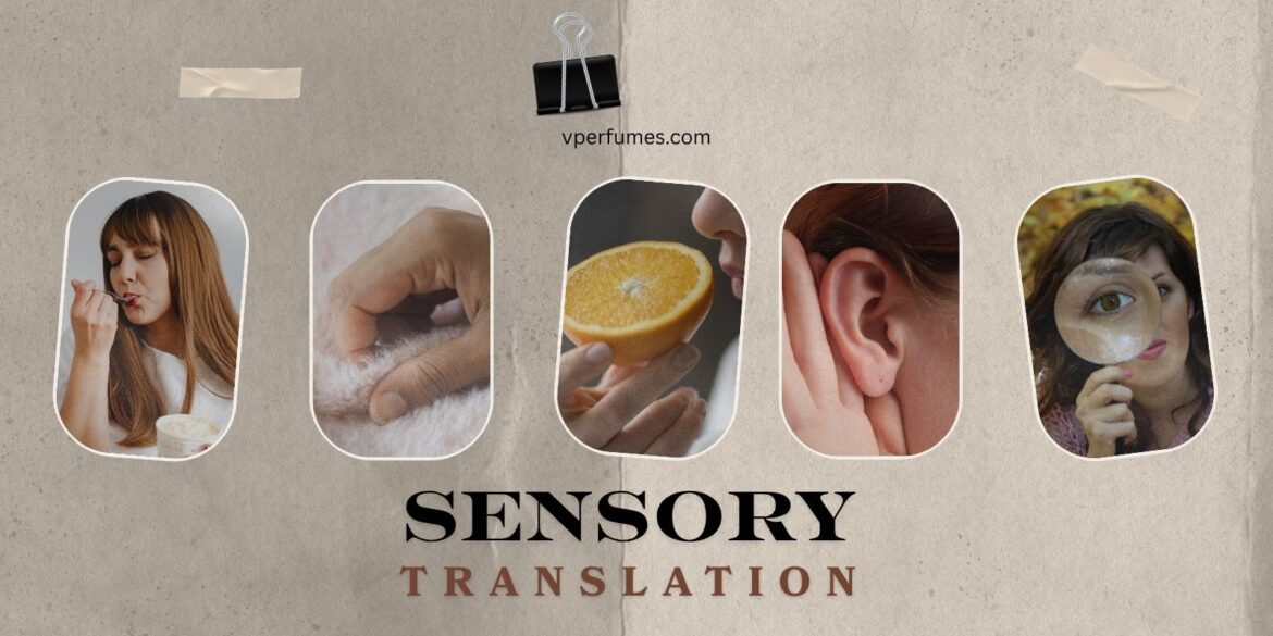 An image of different sensory languages to talk about perfumes