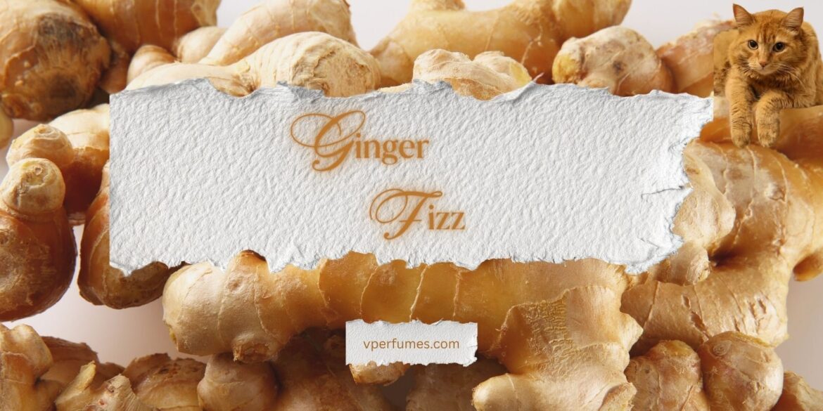 A creative illustration of best ginger perfumes