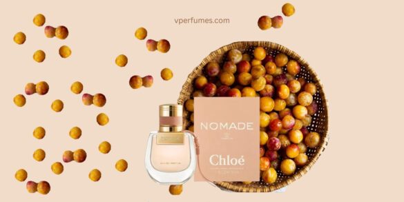 Une illustration créative de Flankers par Chloe Nomade