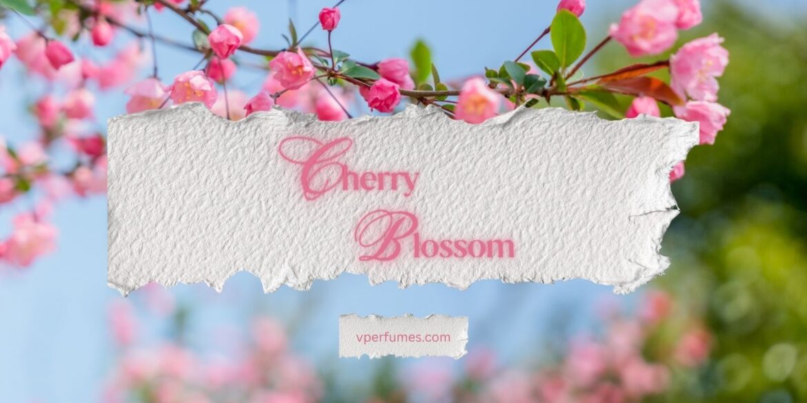 Une illustration créative des parfums de fleurs de cerisier