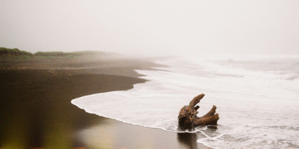 An image of a shore