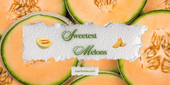 Une illustration créative présentant les meilleurs parfums au melon pour l'été