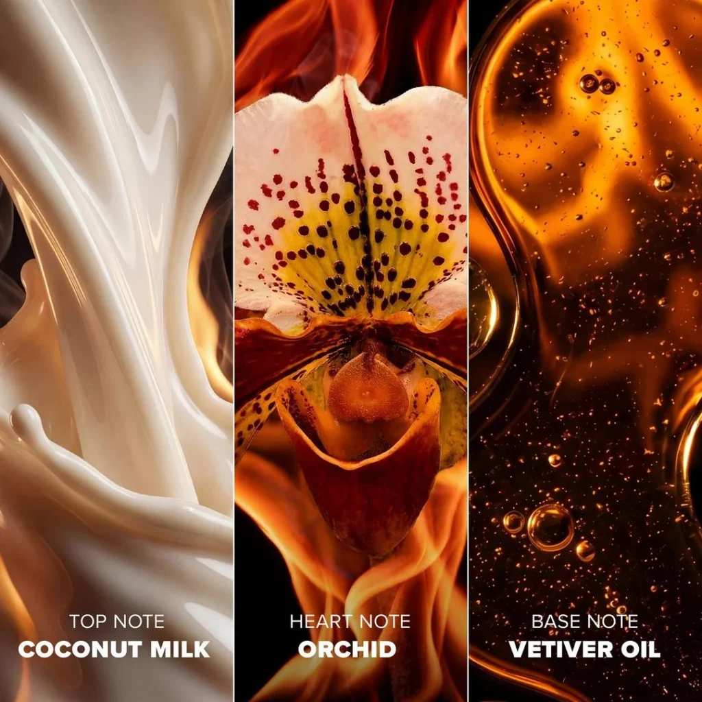 An image of Megan thee stallion hot girl summer EDP perfume notes