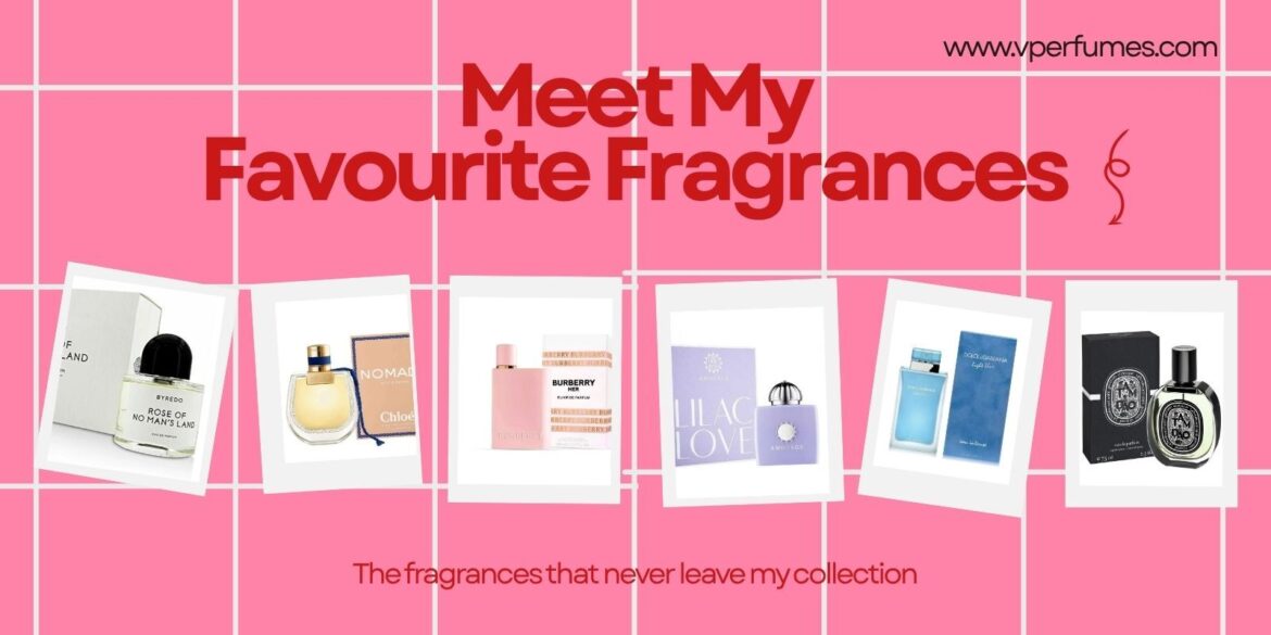 AN image of some of my favorite perfumes