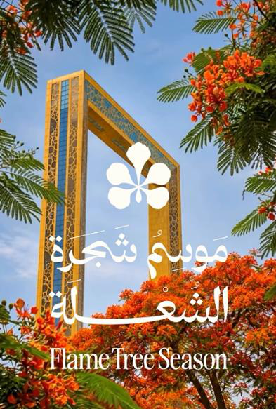 04 flame tree season V Perfumes Blog